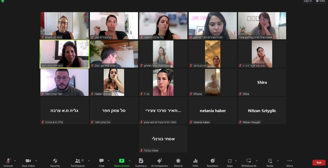צילום מסך מפגישת זום 