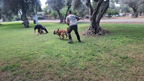 נעמה 4.jpg